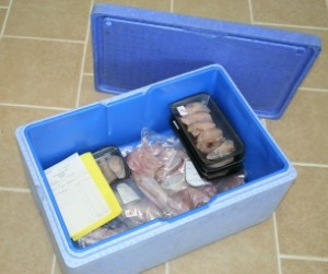 Delivery Box